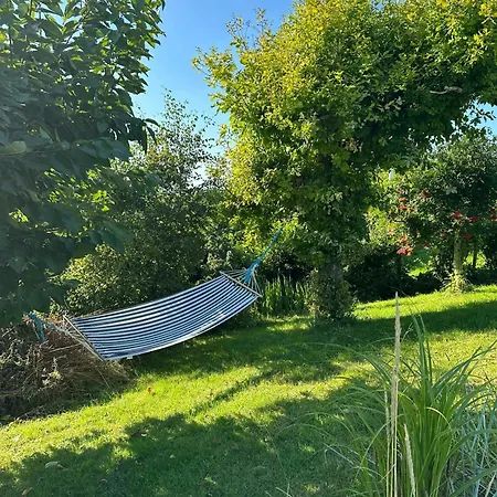 Panoramic View And Artistic Charm In Vakantiehuis Hundested